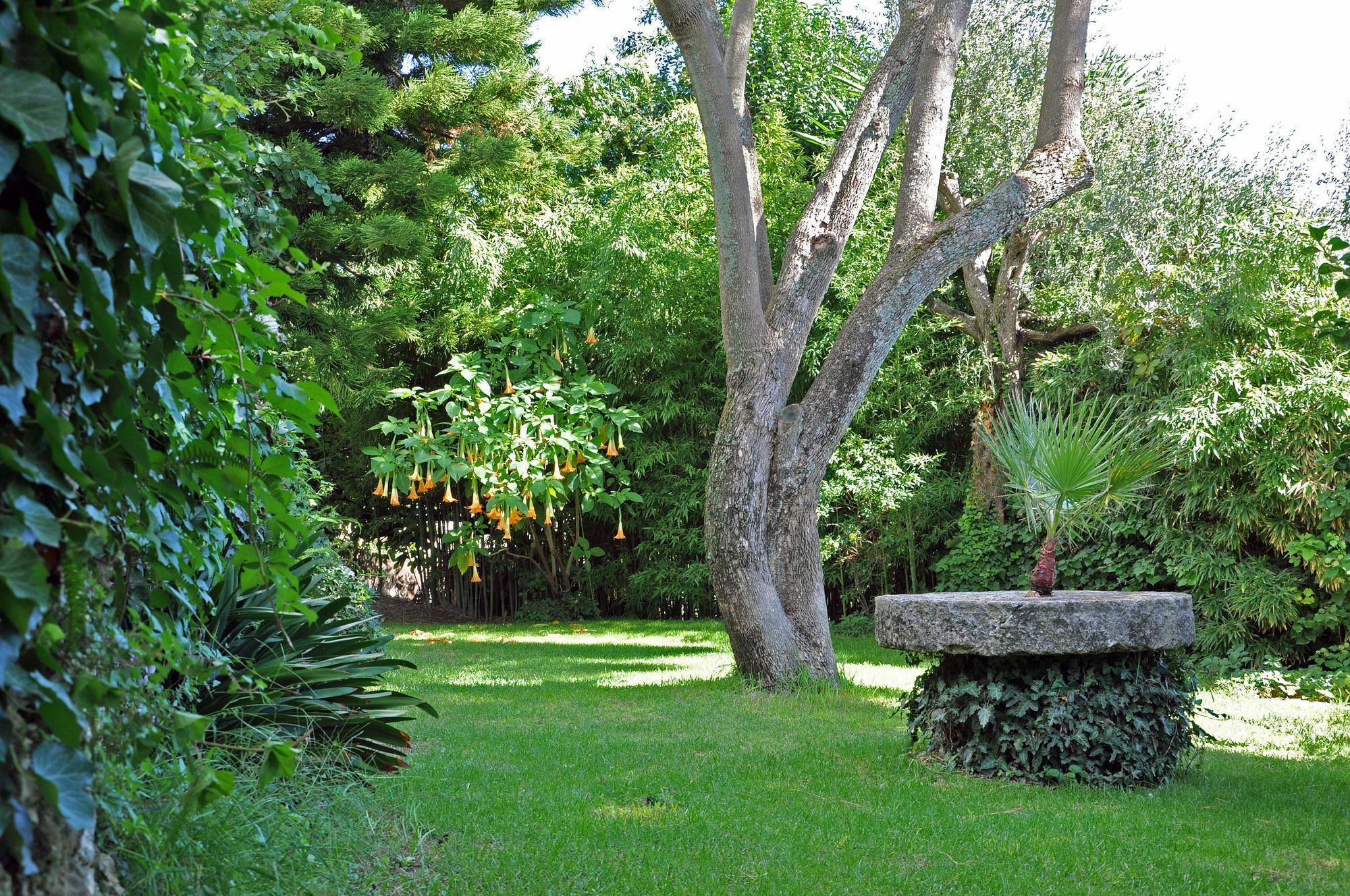 Villa Domenicale Ágios Márkos المظهر الخارجي الصورة